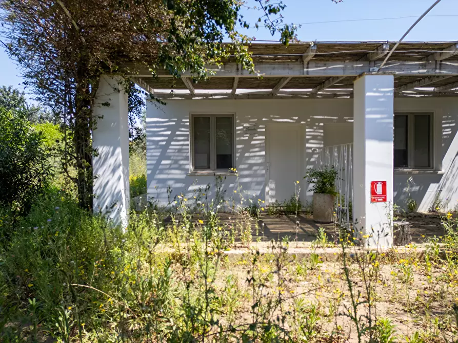 Immagine 58 di Casa indipendente in vendita  in Strada Provinciale 194 a Sannicola