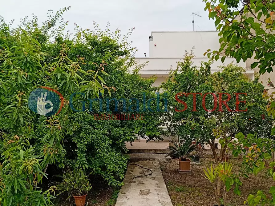 Immagine 25 di Casa indipendente in vendita  in Via Pasquale Leone 95 a Salice Salentino