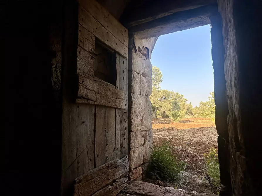 Immagine 19 di Terreno edificabile in vendita  a Ceglie Messapico