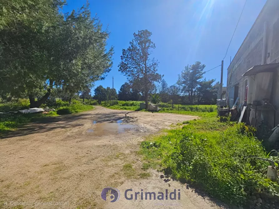 Immagine 29 di Magazzino in vendita  in Via Solano Li Belli 47 a Lequile