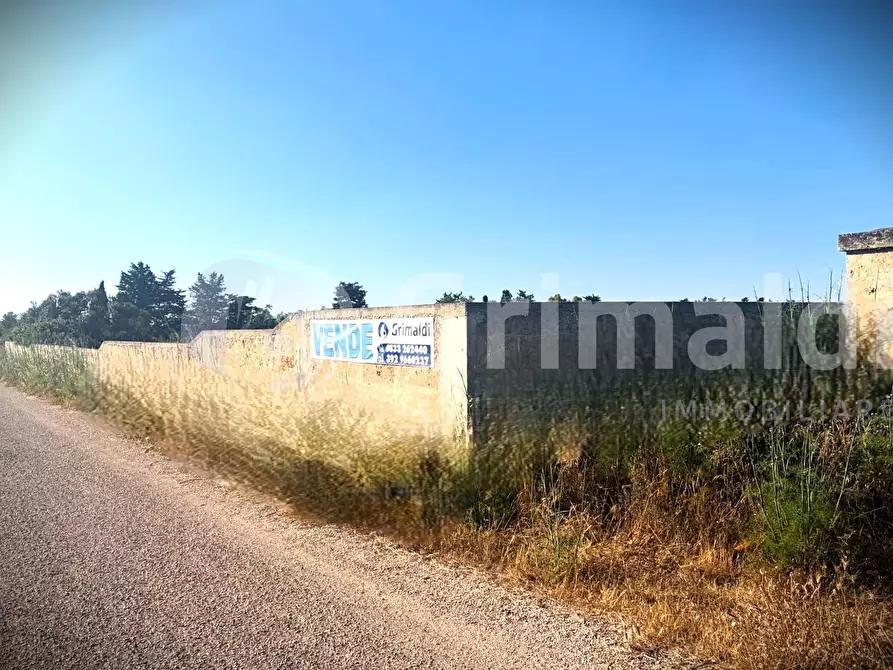 Immagine 3 di Terreno agricolo in vendita  in Strada Statale 274 a Gallipoli