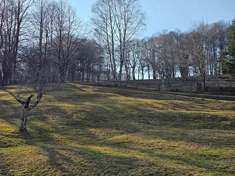 Immagine 39 di Casa indipendente in vendita  in via C. Goldoni 17 a Alta Valle Intelvi