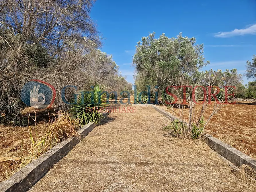 Immagine 15 di Terreno agricolo in vendita  a Latiano