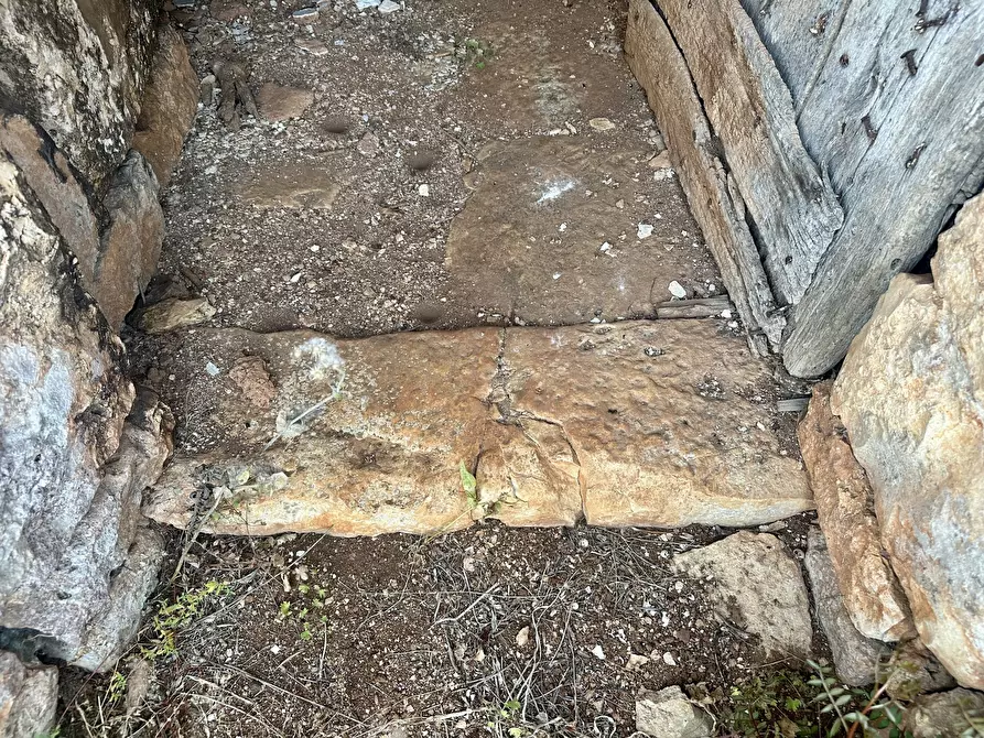 Immagine 13 di Terreno edificabile in vendita  a Ceglie Messapico