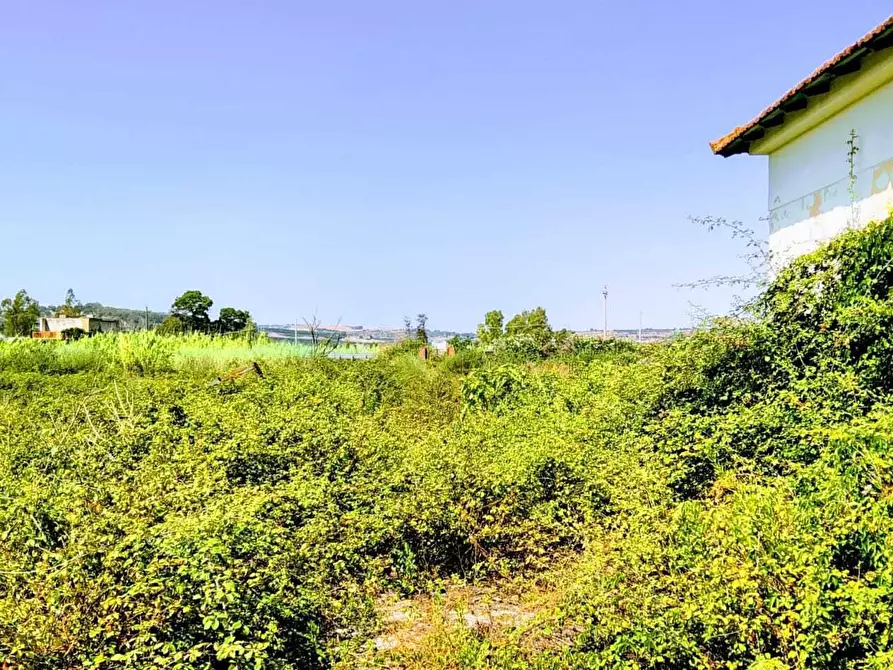 Immagine 15 di Terreno agricolo in vendita  in Lungomare Agnone Bagni a Augusta