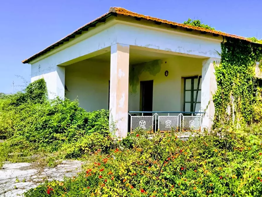 Immagine 13 di Terreno agricolo in vendita  in Lungomare Agnone Bagni a Augusta