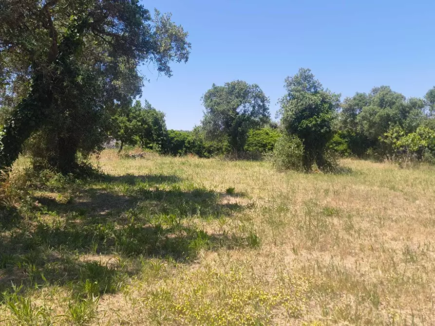Immagine 7 di Casa indipendente in vendita  in Contrada Balice a Monopoli