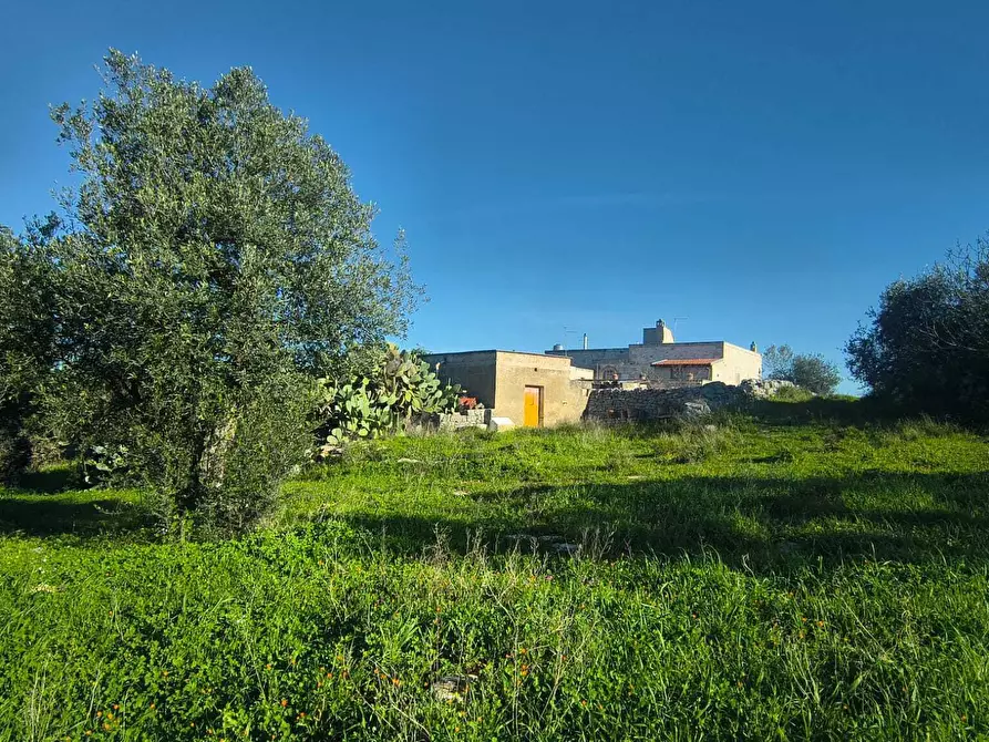 Immagine 5 di Casa indipendente in vendita  in Contrada Petrarolo a Monopoli