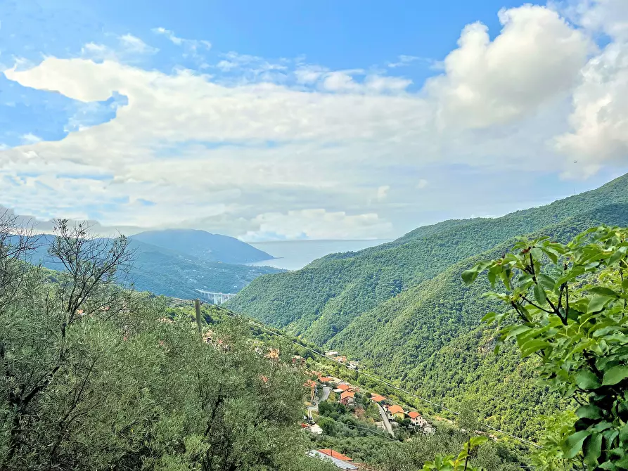 Immagine 35 di Casa indipendente in vendita  in Via Cappelletta 37 a Avegno