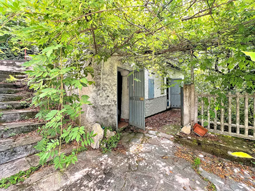 Immagine 21 di Casa indipendente in vendita  in Via Cappelletta 37 a Avegno