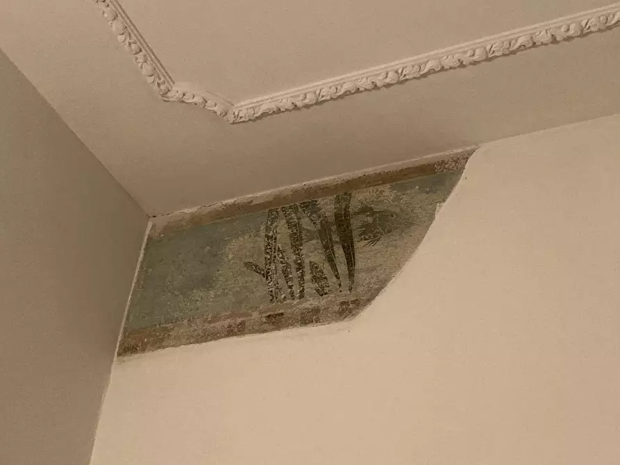 Immagine 46 di Trilocale in affitto  a Sarzana