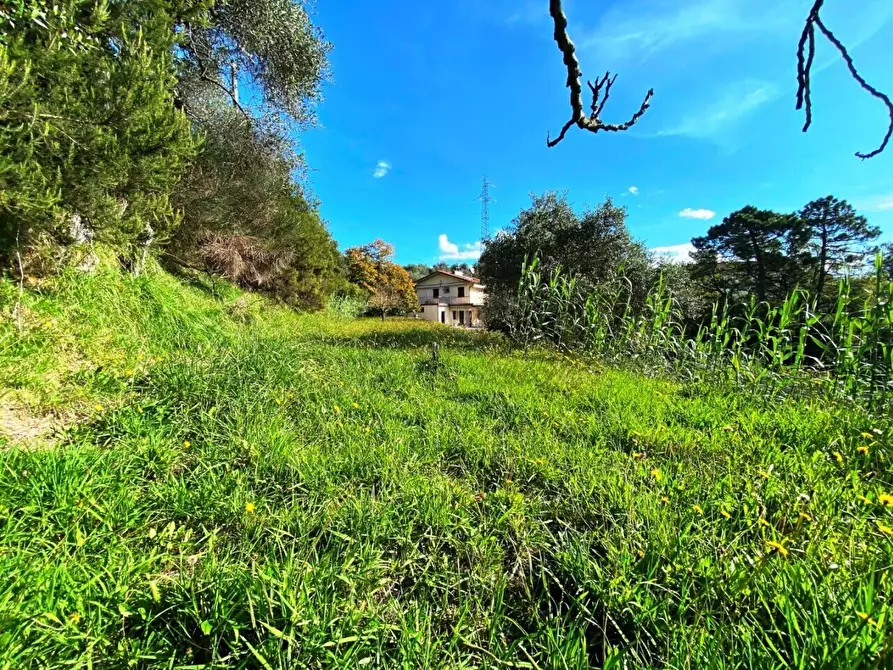 Immagine 6 di Casa indipendente in vendita  a Sarzana