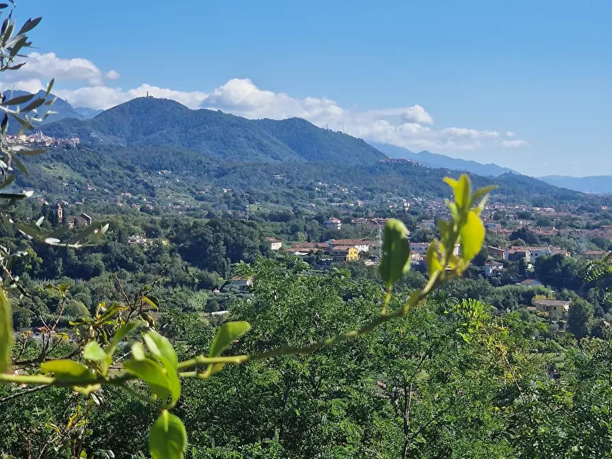 Immagine 1 di Quadrilocale in affitto  in VIA FORTINO a Sarzana