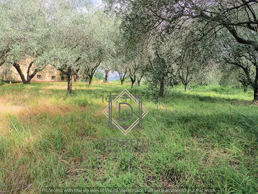 Immagine 25 di Quadrilocale in vendita  a Ameglia