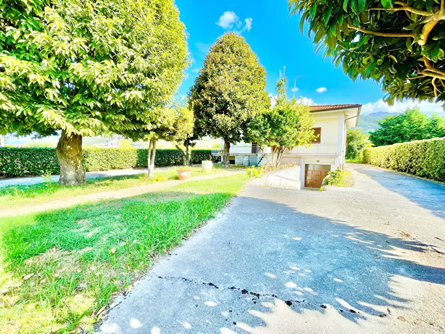 Immagine 4 di Villa in vendita  a Pietrasanta