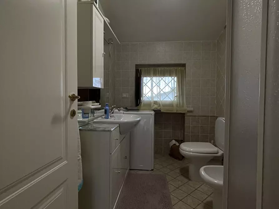 Immagine 13 di Quadrilocale in affitto  a Seravezza