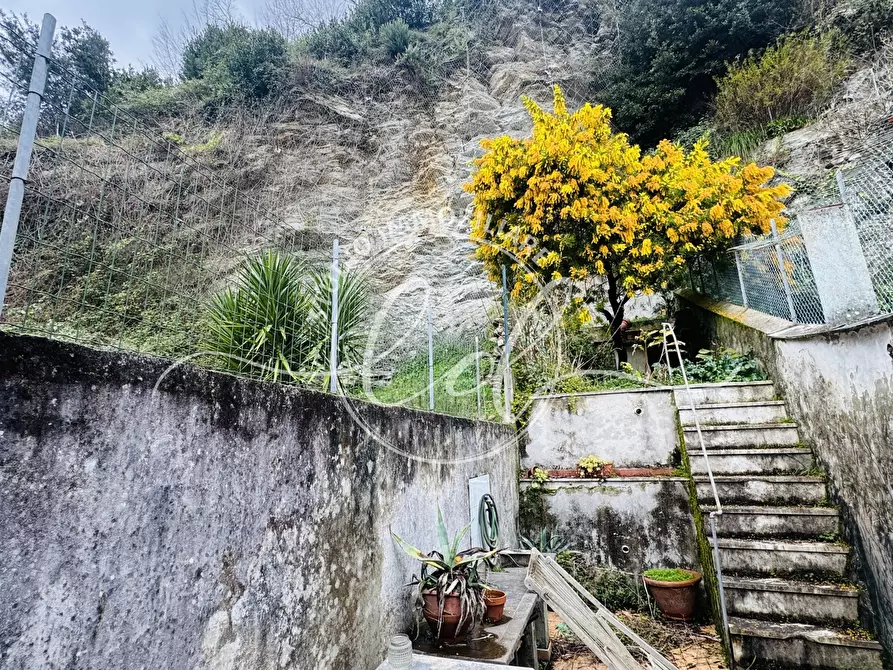 Immagine 24 di Terratetto in vendita  a Seravezza