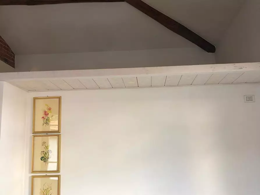 Immagine 26 di Trilocale in affitto  a Pietrasanta