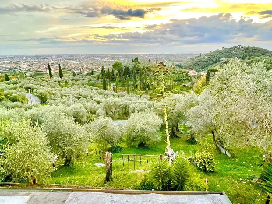 Immagine 71 di Porzione di casa in vendita  a Pietrasanta