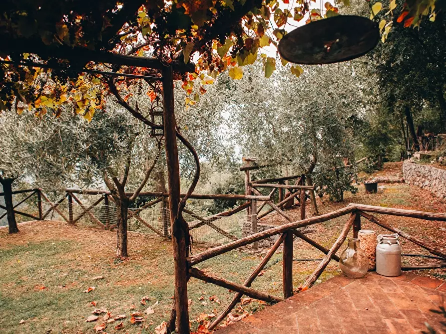 Immagine 39 di Rustico / casale in affitto  a Camaiore