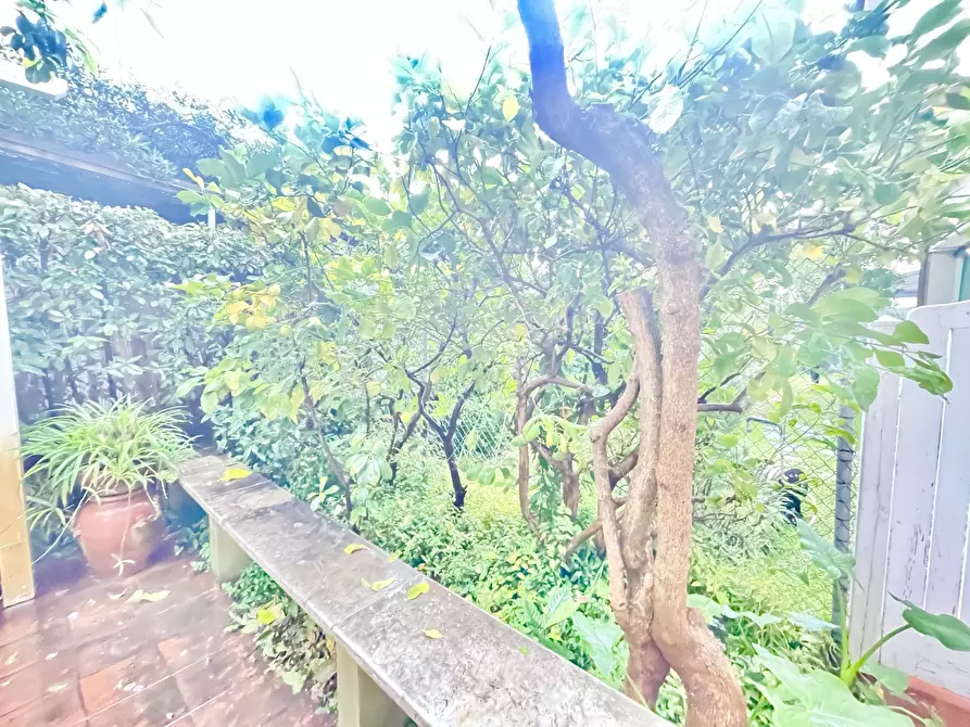 Immagine 56 di Villa in affitto  a Forte Dei Marmi