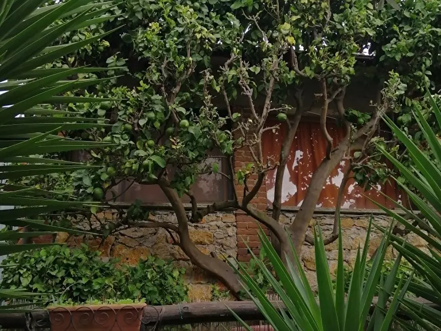 Immagine 40 di Porzione di casa in vendita  a Pietrasanta