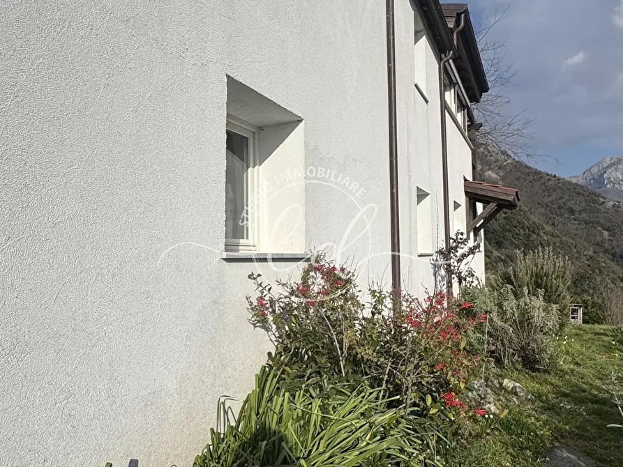 Immagine 49 di Casa indipendente in vendita  a Stazzema