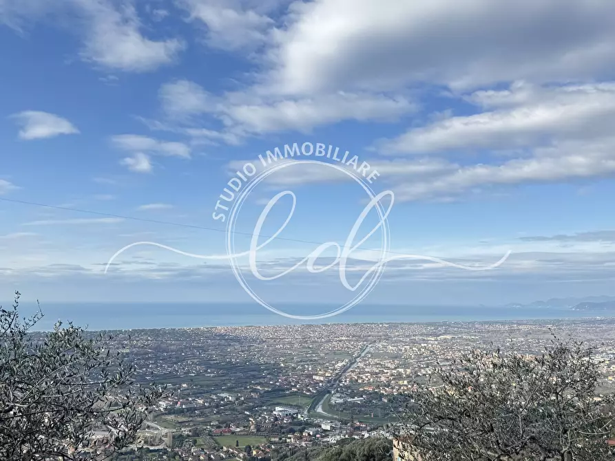 Immagine 47 di Terratetto in vendita  a Pietrasanta