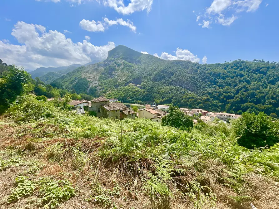 Immagine 3 di Rustico / casale in vendita  a Seravezza