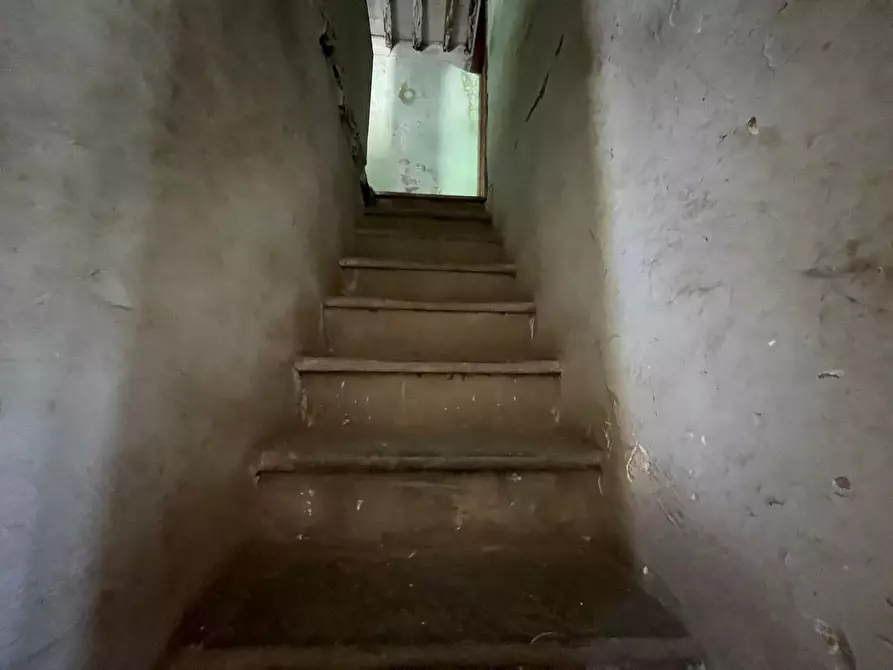 Immagine 33 di Rustico / casale in vendita  a Camaiore