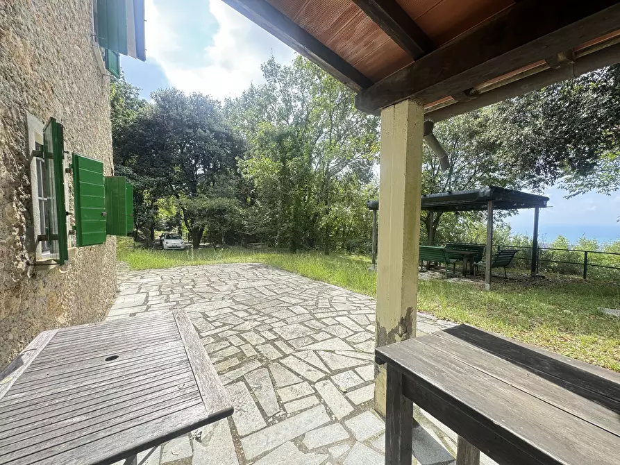 Immagine 4 di Rustico / casale in vendita  a Pietrasanta