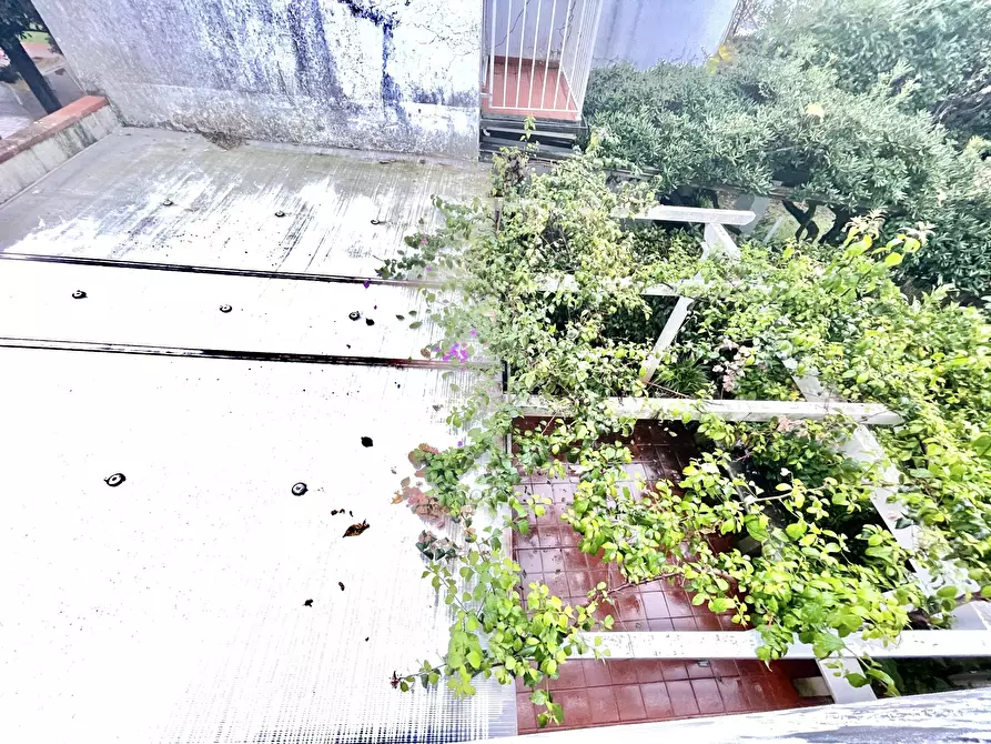 Immagine 37 di Villa in affitto  a Forte Dei Marmi