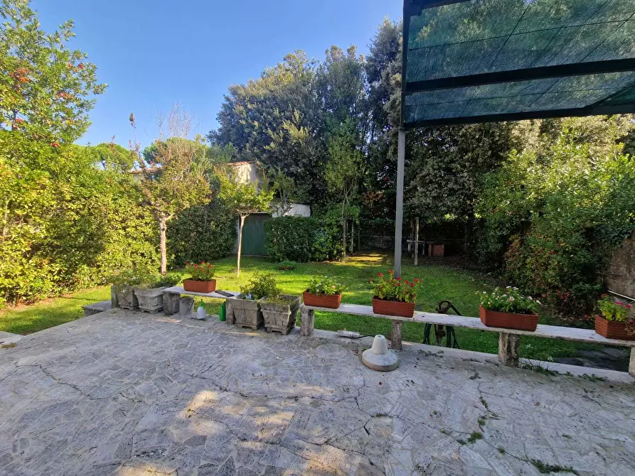 Immagine 4 di Casa indipendente in affitto  a Pietrasanta