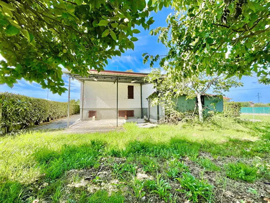 Immagine 11 di Villa in vendita  a Pietrasanta