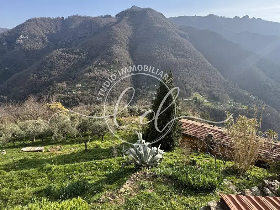 Immagine 89 di Casa indipendente in vendita  a Stazzema