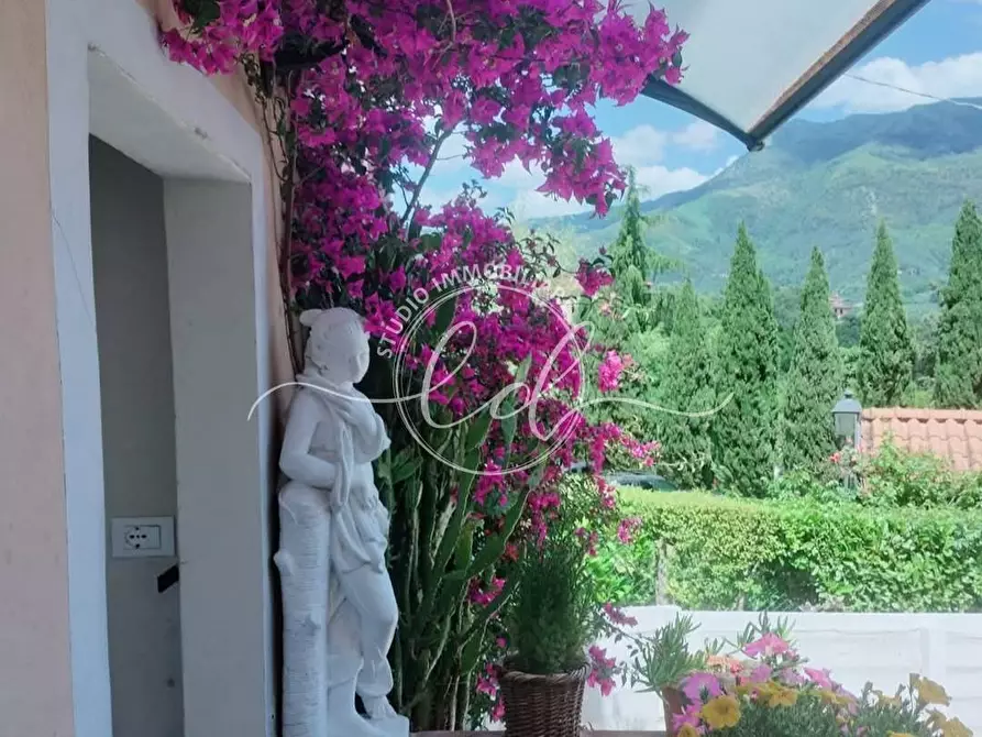 Immagine 3 di Terratetto in vendita  a Camaiore