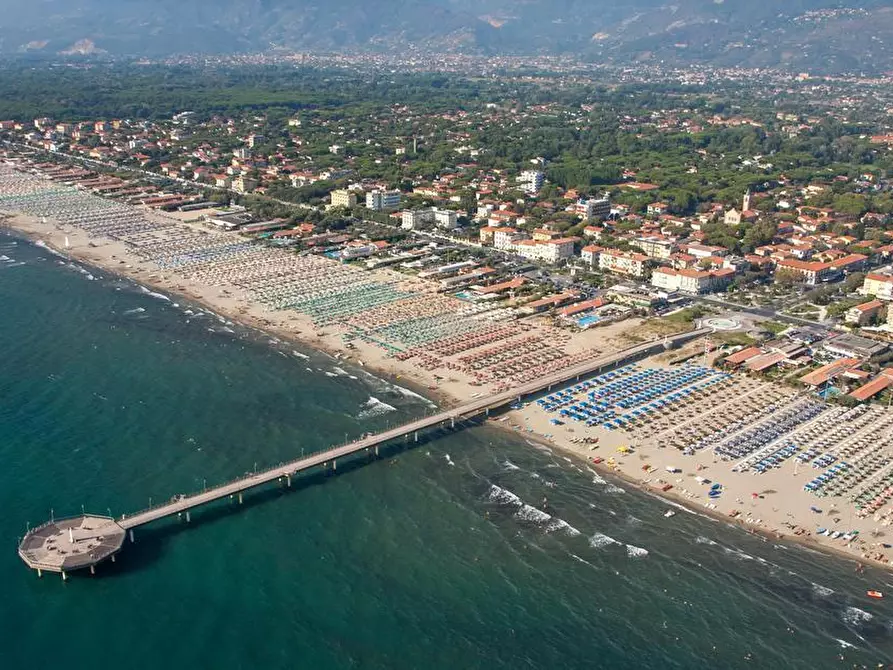 Immagine 4 di Bar / Ristorante in vendita  a Pietrasanta
