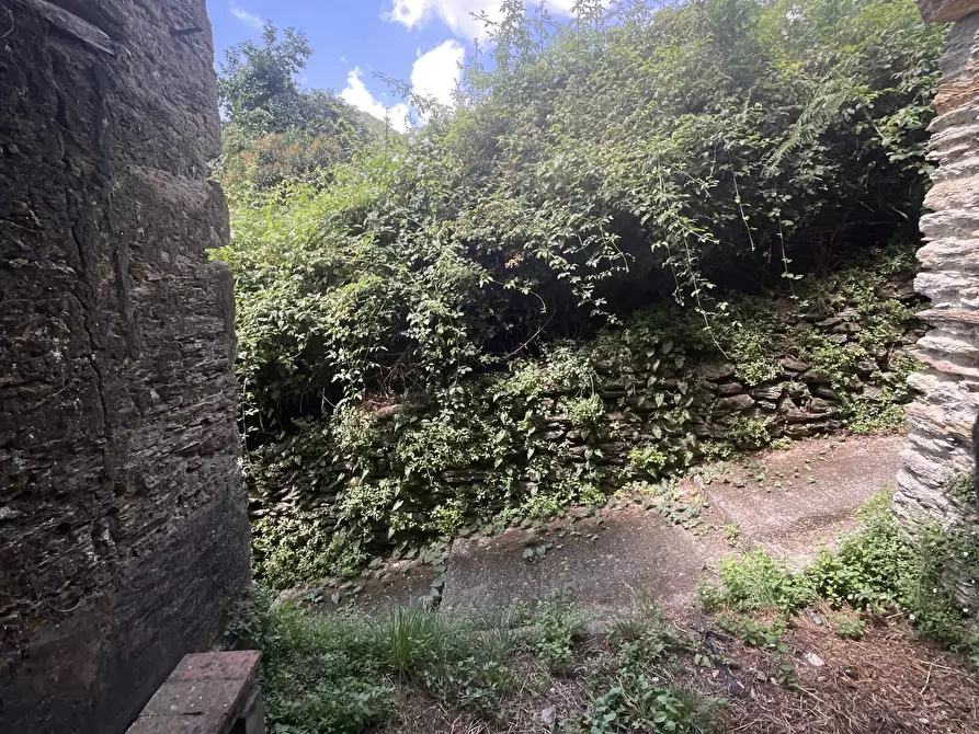 Immagine 20 di Rustico / casale in vendita  a Seravezza