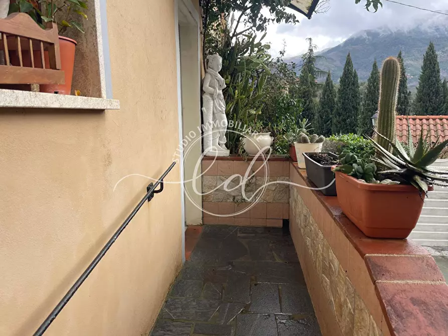 Immagine 53 di Terratetto in vendita  a Camaiore