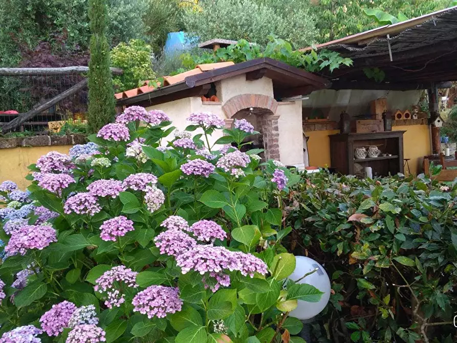 Immagine 7 di Porzione di casa in vendita  a Pietrasanta