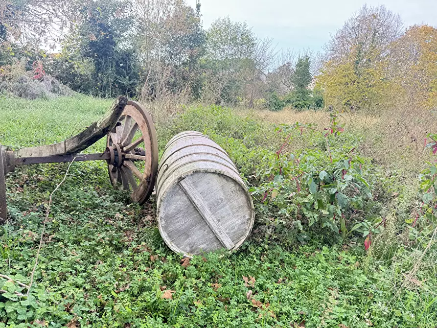 Immagine 68 di Rustico / casale in vendita  a Pietrasanta
