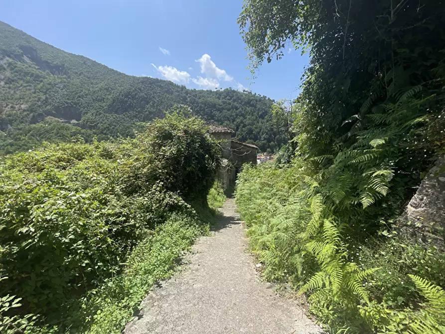 Immagine 29 di Rustico / casale in vendita  a Seravezza