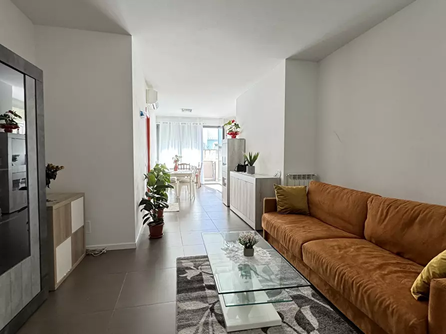 Immagine 3 di Quadrilocale in affitto  a Camaiore