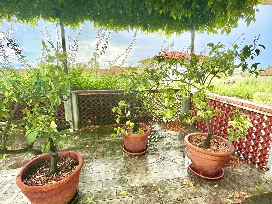 Immagine 12 di Casa indipendente in vendita  a Seravezza