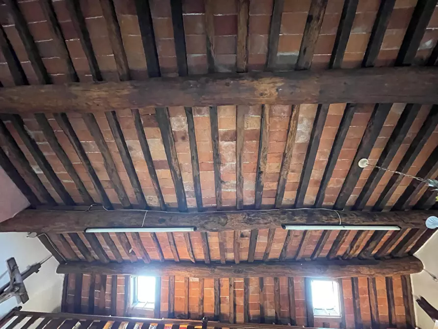 Immagine 18 di Rustico / casale in vendita  a Camaiore