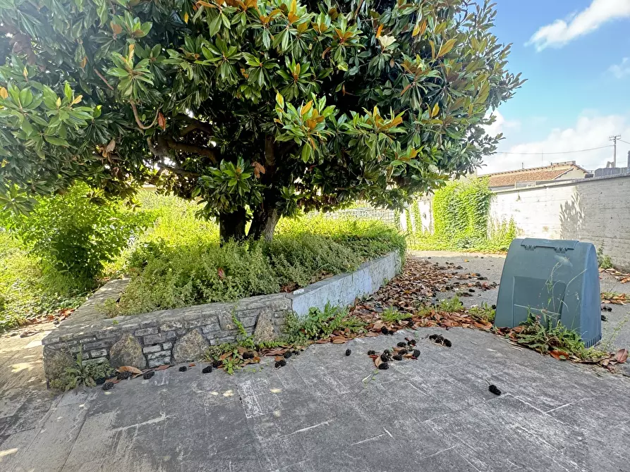 Immagine 5 di Porzione di casa in vendita  a Pietrasanta