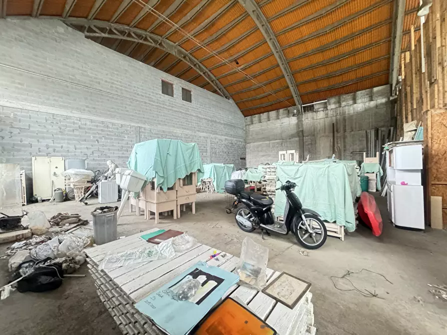 Immagine 8 di Magazzino in affitto  a Pietrasanta