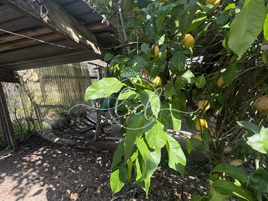 Immagine 32 di Porzione di casa in vendita  a Seravezza