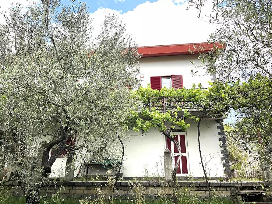 Immagine 23 di Villa in vendita  in Contrada Zancati Nuovo a Paliano