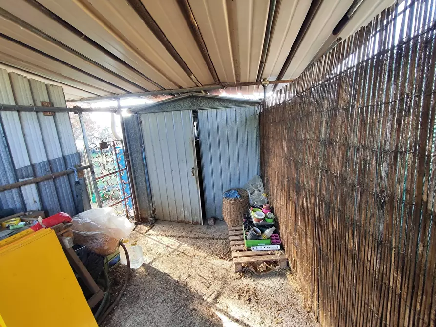 Immagine 2 di Terreno agricolo in vendita  in Via Colle di Mitriano a Guidonia Montecelio